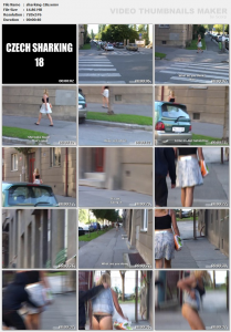 15045427958775247976.jpg